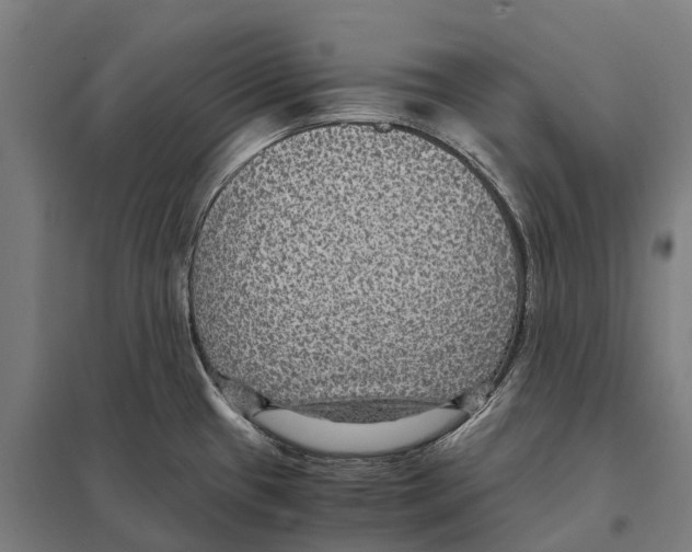 X0000097621433200803281026