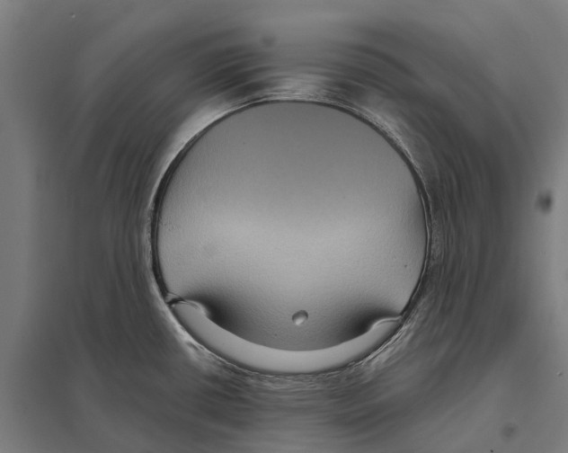 X0000097621434200803281026