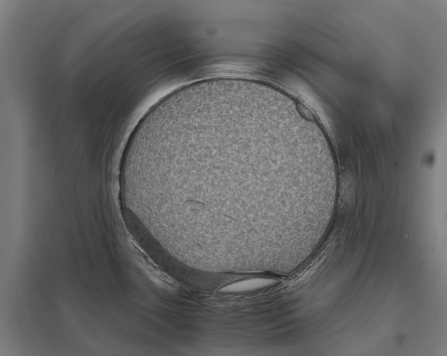 X0000097621435200803281026