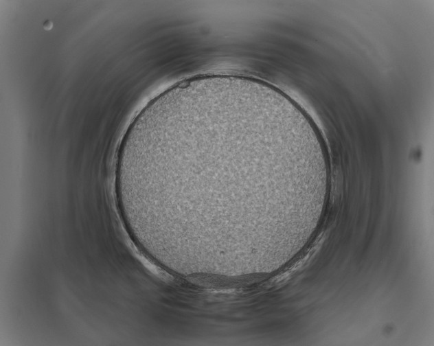 X0000097621437200803281026