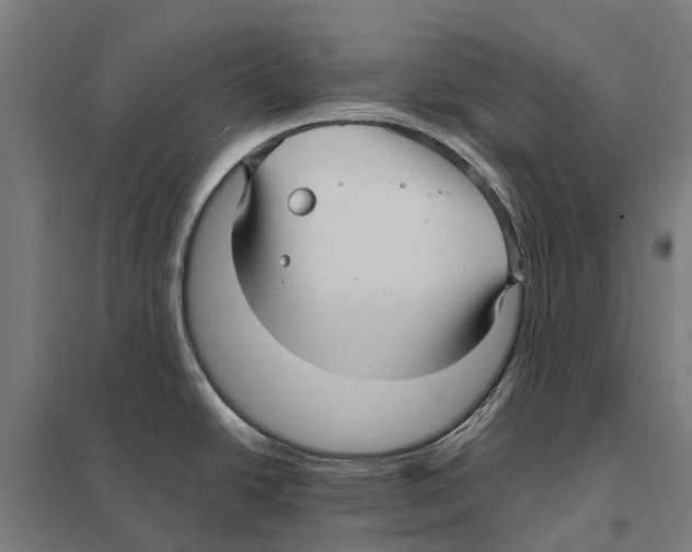 X0000097621438200803281026