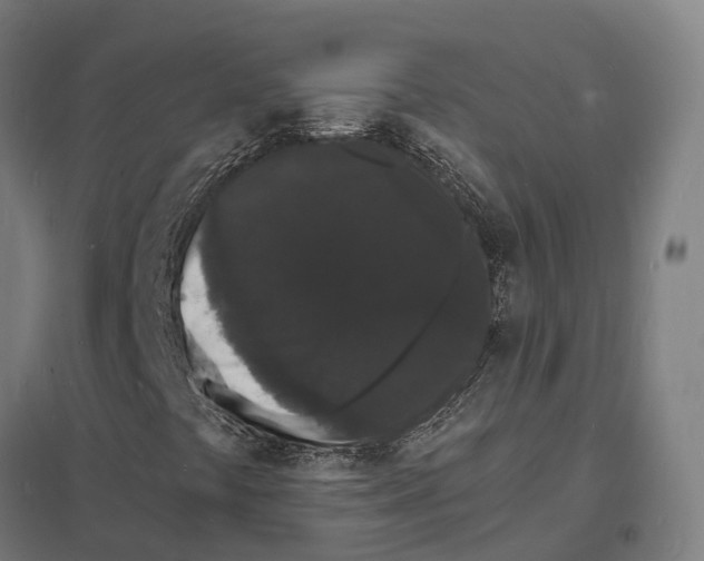 X0000097621441200803281026