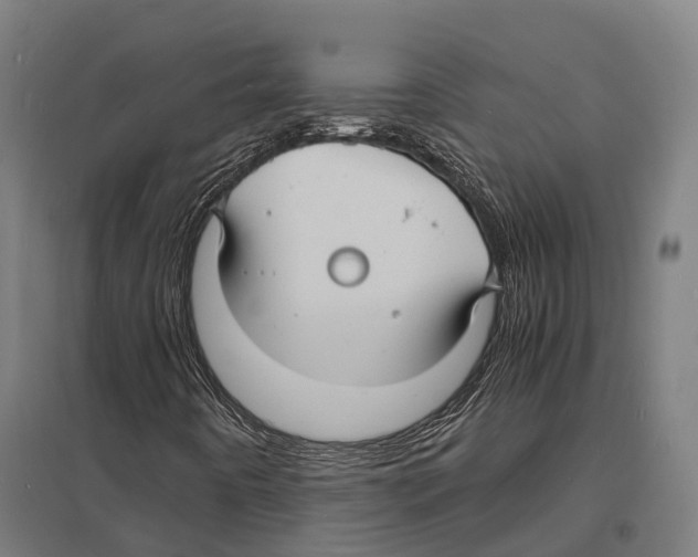 X0000097621442200803281026