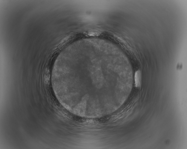 X0000097621443200803281026