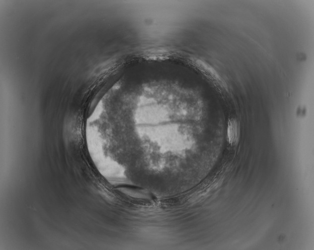 X0000097621444200803281026