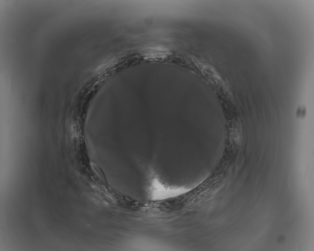 X0000097621445200803281026