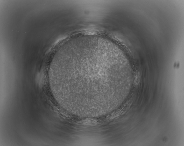 X0000097621446200803281026