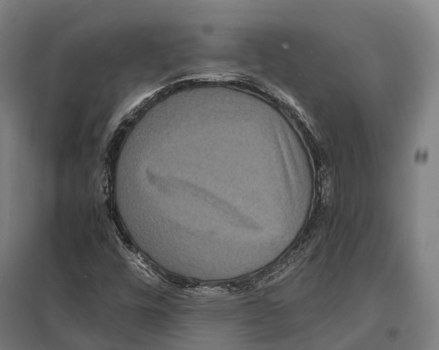 X0000097621448200803281026
