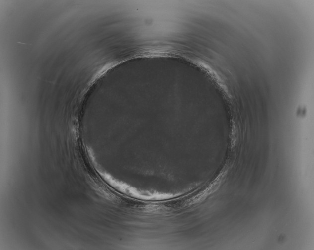 X0000097621449200803281026