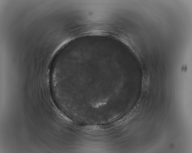 X0000097621450200803281026