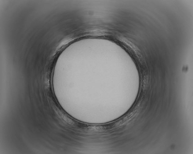 X0000097621451200803281026