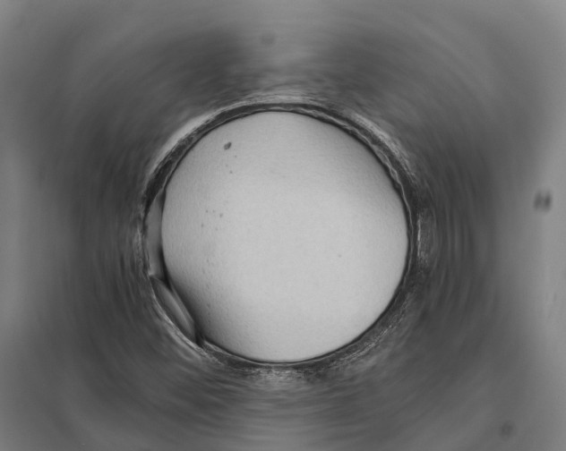 X0000097621452200803281026
