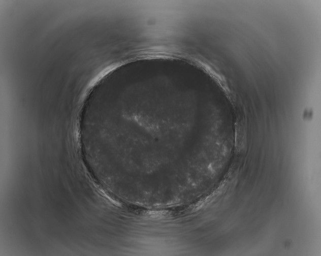 X0000097621453200803281026