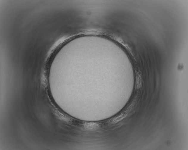 X0000097621454200803281025
