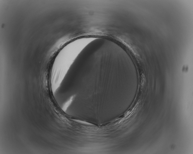 X0000097621455200803281025