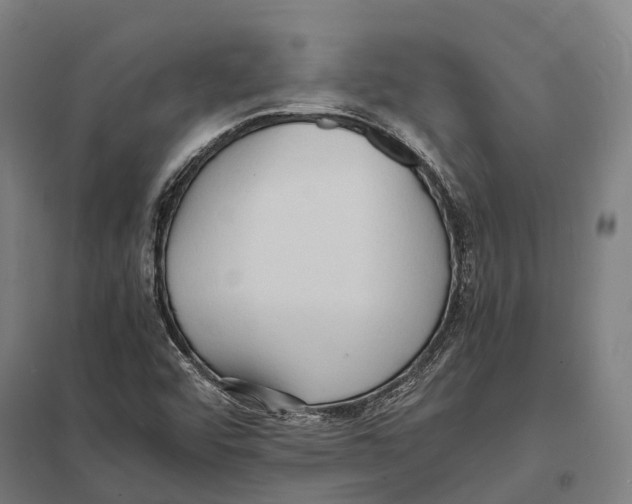 X0000097621456200803281025