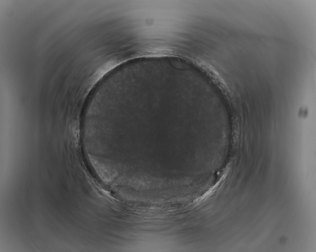 X0000097621457200803281025