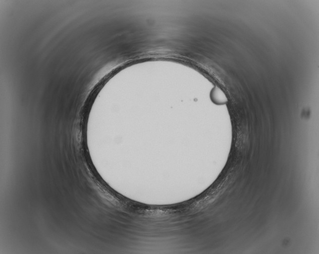 X0000097621458200803281025