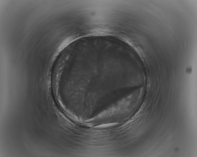 X0000097621459200803281025