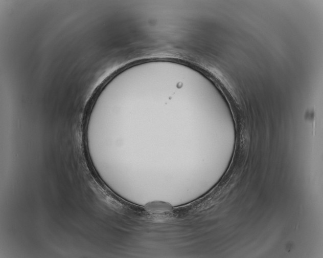 X0000097621460200803281025
