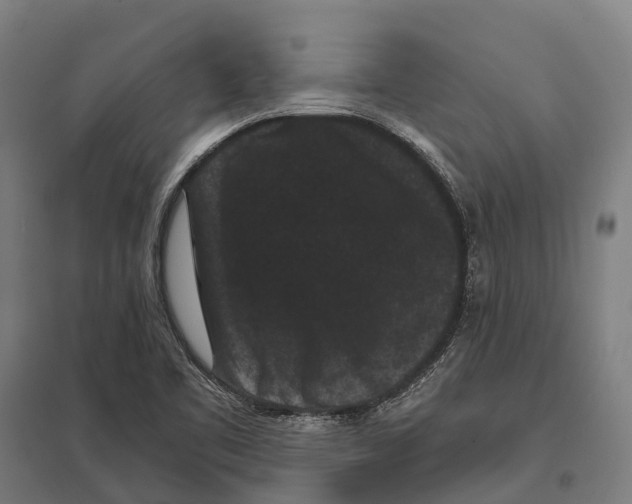 X0000097621461200803281025