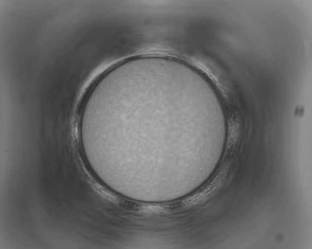 X0000097621462200803281025