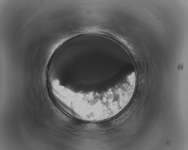 X0000097621463200803281025