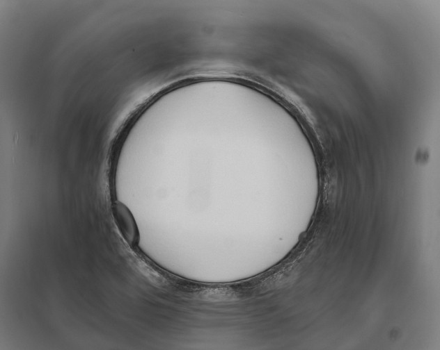 X0000097621464200803281025