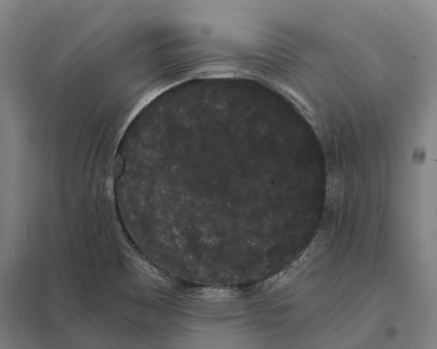 X0000097621465200803281025