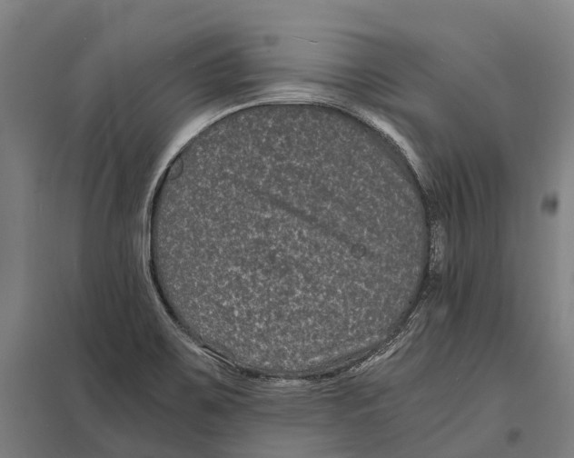 X0000097621467200803281025