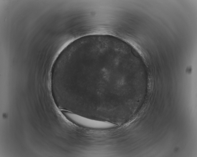 X0000097621468200803281025