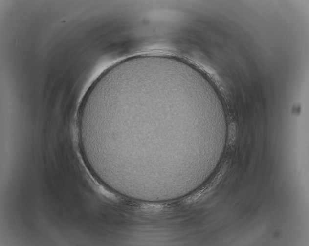 X0000097621470200803281025