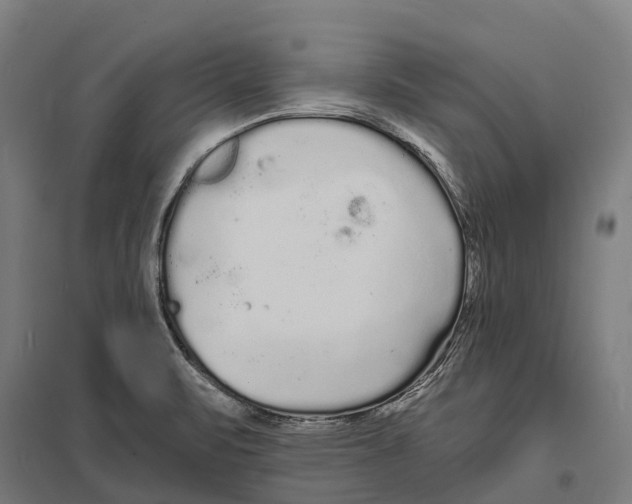 X0000097621471200803281025