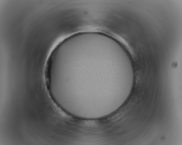 X0000097621472200803281025