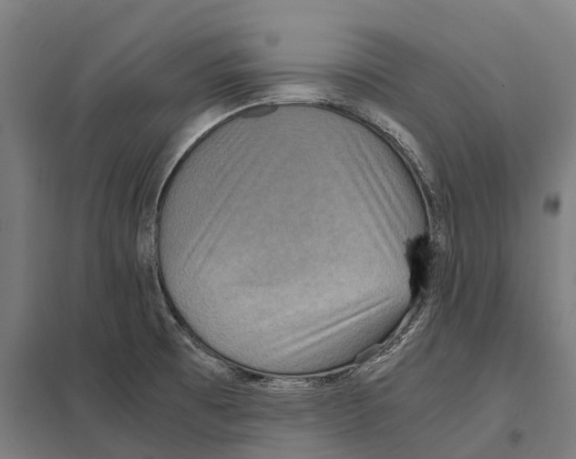 X0000097621473200803281025