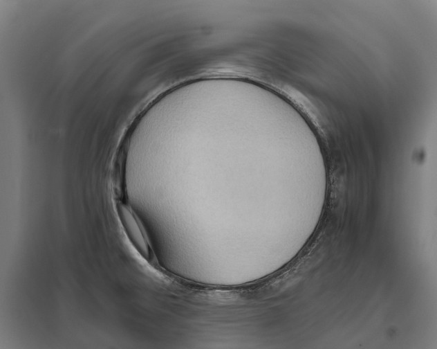 X0000097621476200803281025