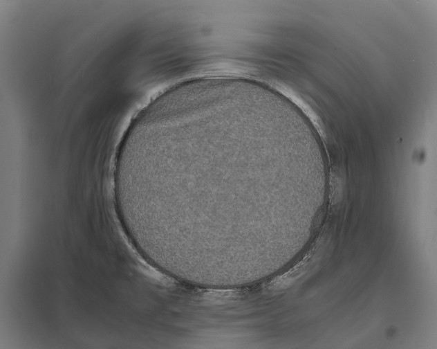 X0000097621477200803281025