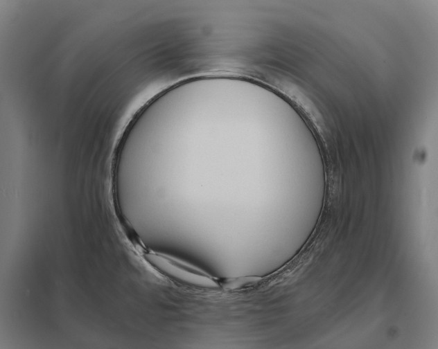 X0000097621480200803281025