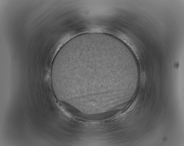 X0000097621481200803281025