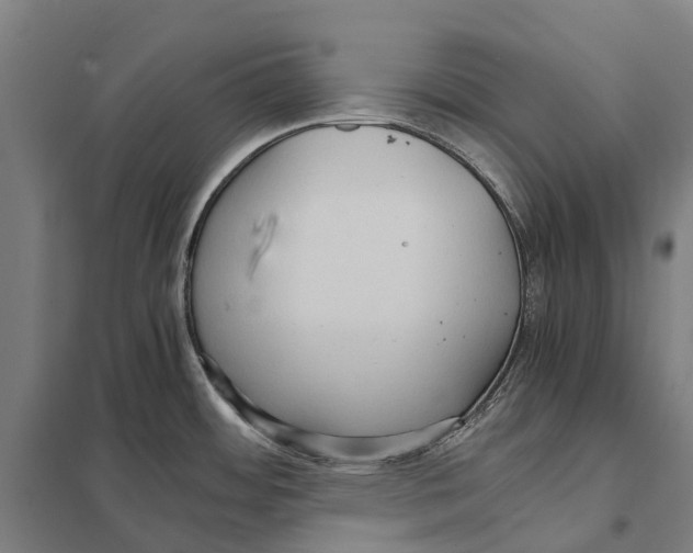 X0000097621484200803281025