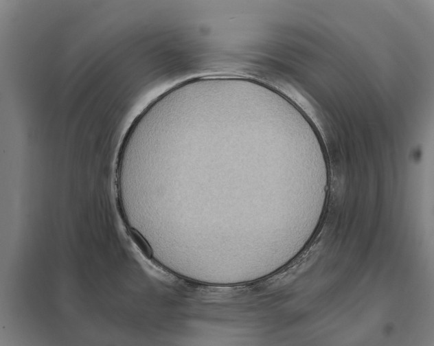 X0000097621485200803281025