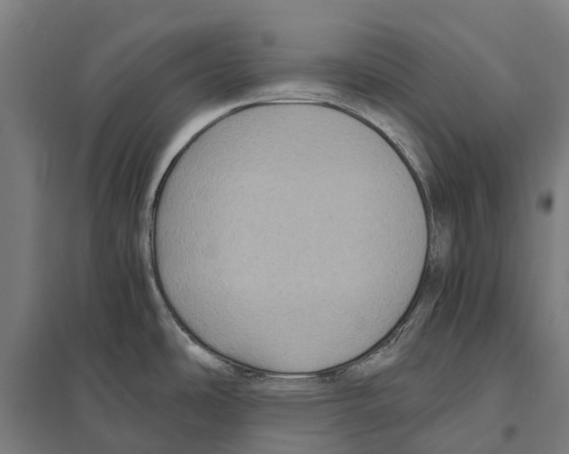 X0000097621486200803281025