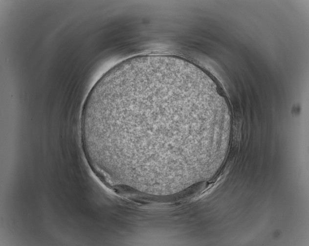 X0000097621487200803281025