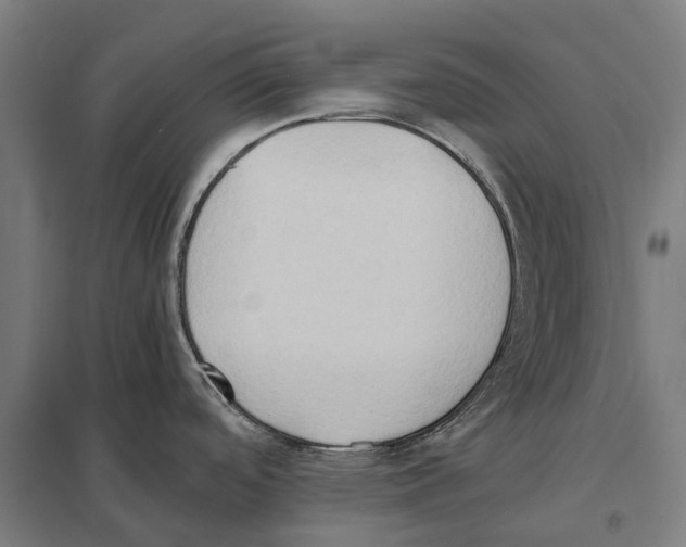 X0000097621488200803281025