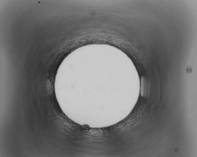 X0000097621491200803281024