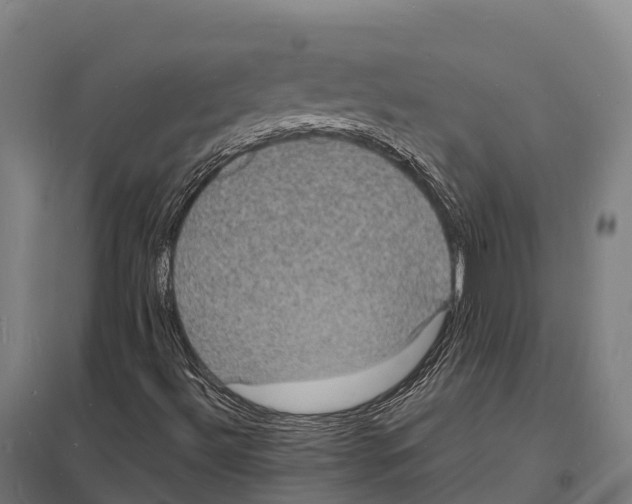 X0000097621492200803281024