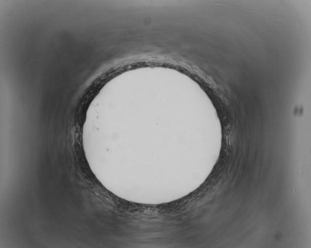 X0000097621495200803281024