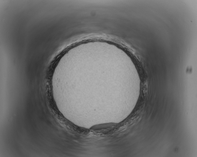 X0000097621496200803281024