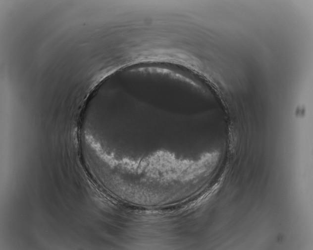 X0000097621497200803281024
