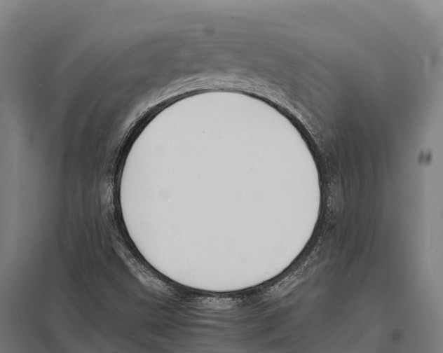 X0000097621499200803281024